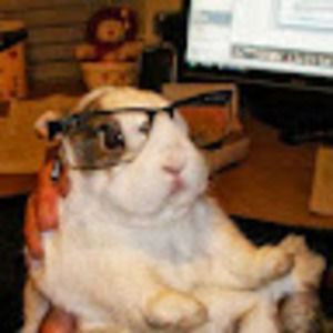 Meet your Posher, Don